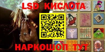 a pvp Заводоуковск