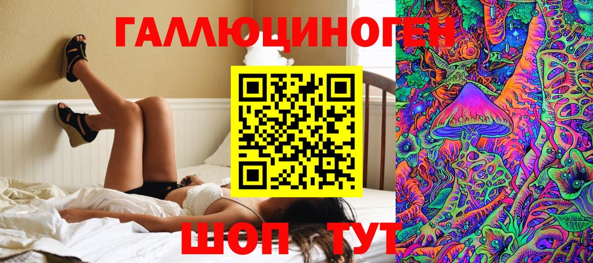 Псилоцибиновые грибы Psilocybe Тимашёвск